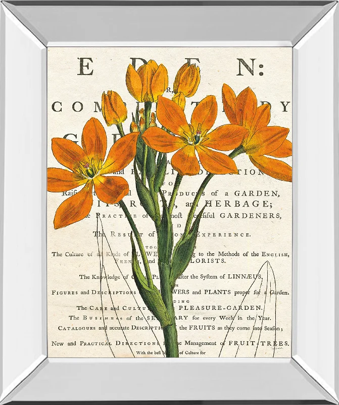 Eurphoria Botany By Sue Schlabach - Mirror Framed Print Wall Art - Orange