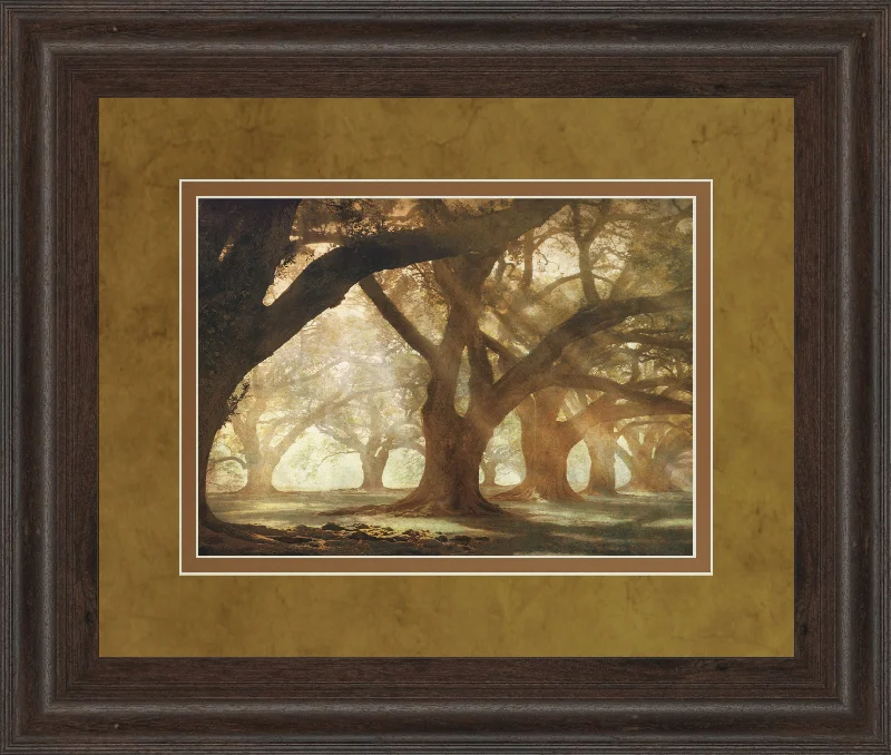 Oak Alley Morning Light By William Guion - Framed Print Wall Art - Dark Brown